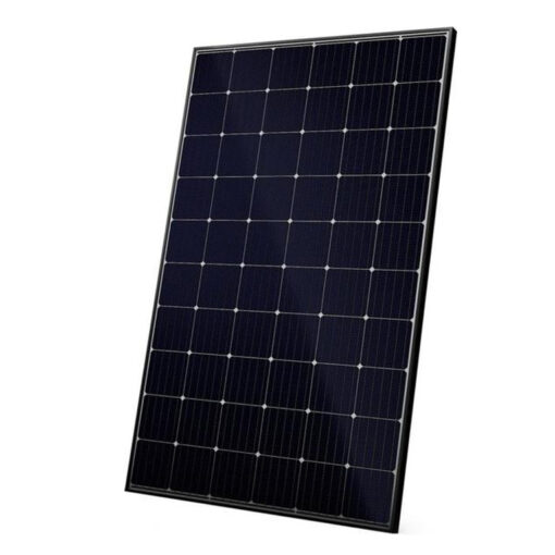 Canadian Solar SuperPower 305W 60 Cell Mono 1000V BLK/WHT, CS6K-305MS